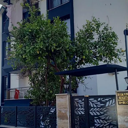 Beyazit 2 * سيدي